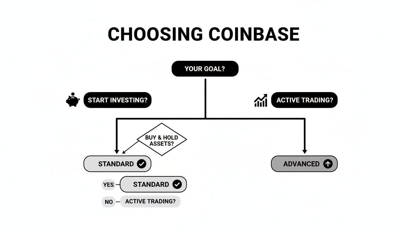 Flowchart guiding users to choose Coinbase Standard or Advanced based on investment goals like trading or holding.